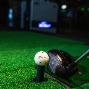golf driver and club
